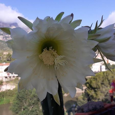 Piso Con Desayuno Incluido Y Vistas A La Montana. Lejlighed Monistrol de Montserrat Eksteriør billede