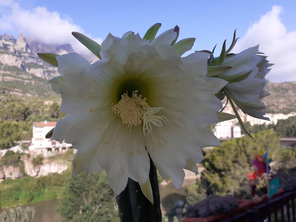 Piso Con Desayuno Incluido Y Vistas A La Montana. Lejlighed Monistrol de Montserrat Eksteriør billede